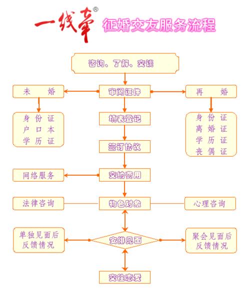 如何制作婚介网站大全 从策划到优化的完整指南